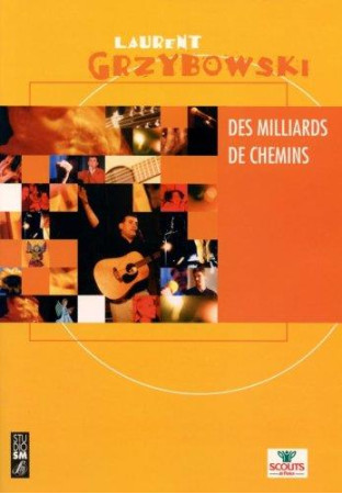 DES MILLIARDS DE CHEMIN - GRZYBOWSKY L - STUDIO SM