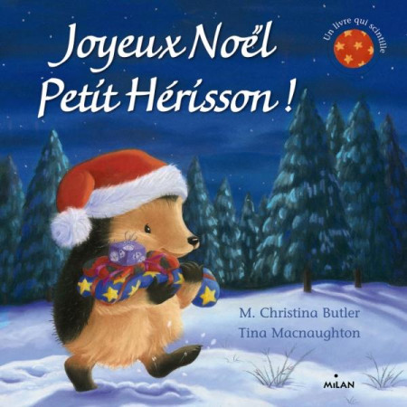 JOYEUX NOEL PETIT HERISSON - TOUT CARTON - BUTLER M. CHRISTINA - BD Kids