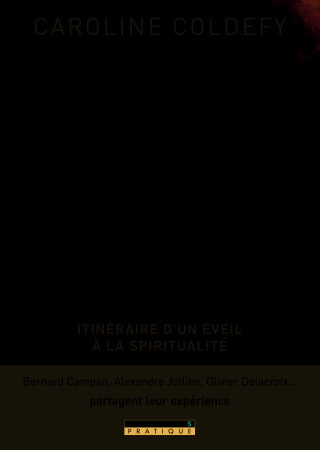 ET ENFIN LA VIE PREND TOUT SON SENS - Caroline Coldefy - LEDUC